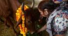 India Assam mob kills two Muslim men over 'cow theft'