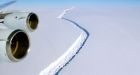 Giant iceberg the size of P.E.I. breaks off Antarctica