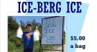 Boy, 9, making cold hard cash from iceberg ice stand