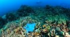UN signals 'end' of throwaway plastic