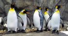 6 signs that this winter's cold has been extreme