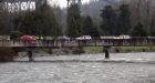 Kayaker stranded on Capilano River has died, police and rescue crews say