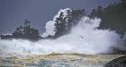 Ucluelet's Wild Pacific Trail undergoing repairs after extreme weather pounds coastal shoreline