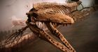 Keep your camera handy: Stories of Manitoba lake monsters told for centuries but proof remains elusive