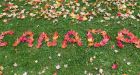 Canada ranked 3rd best country to live in