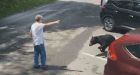 Watch: Mama bear lunges at man coaxing cubs in Tennessee park