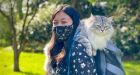 Why some pet owners are taking their felines on the cat walk