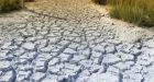 Prairie farmers struggle as drought set to become among worst in Canadian history