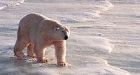 Climate change not just a theory for northerners who see results daily
