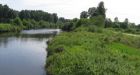 Sockeye salmon seen in Coquitlam River for the first time in nearly a century