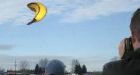 Floating banana's appeal for funding slips