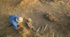 Remains of 5,000-year-old cemetery found in Sahara