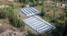 Mounties bust huge B.C. Interior grow-op