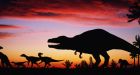 Humans �drive biggest mass extinction since dinosaurs�