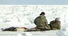 DFO monitors small seal hunt off Cape Breton