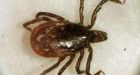 Lyme disease spreading in Canada, researchers find