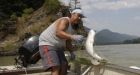 Gunner Point fish farm on track despite concerns over vanishing sockeye