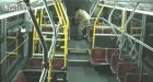 Man sets fire to Toronto bus
