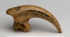 Extinct eagle may have eaten humans