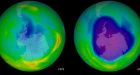 Save the Ozone Layer, Give Global Warming a Boost?