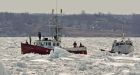 Lucrative seal hunt to begin in N.S. this week