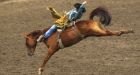 Sixth horse dies at Calgary Stampede