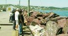 Search resumes for fourth N.L. person lost at sea