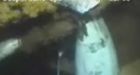 BP removes Gulf well blowout preventer