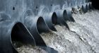 Hike water prices to stop waste: expert