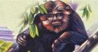 Scientists to look for China's Bigfoot
