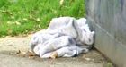 Charges pending after baby found in Calgary dumpster