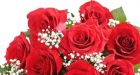 What's better than flowers and lingerie on Valentine's?