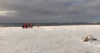 Grey seal hunt begins in Hay Island, N.S.