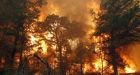Texas wildfire destroys hundreds of homes