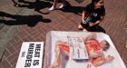 Animal-rights groups defined as terrorists on government website