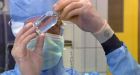Journals asked to censor controversial bird flu studies