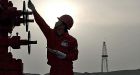 PetroChina buys entire Alberta oilsands project