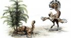 Alberta scientist finds dinosaurs could really shake a tail feather