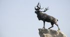 Memorial Day service in St. John's to honour dead soldiers