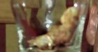Bar patron fined $500 for purposely swallowing toe at Yukon hotel