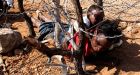 Africa sees violent, deadly start to 2014