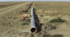 California's crippling drought could cost � and benefit � Canadians