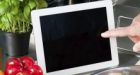The next version of Windows will be� Windows 10