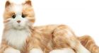 Hasbro introduces robo-kitties for seniors