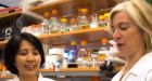 CRISPR gene-editing tool has scientists thrilled � but nervous