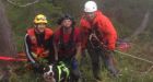 North Shore Rescue save a dog after chipmunk chase goes awry