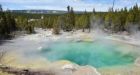 Yellowstone Park accident victim dissolved in boiling acidic pool